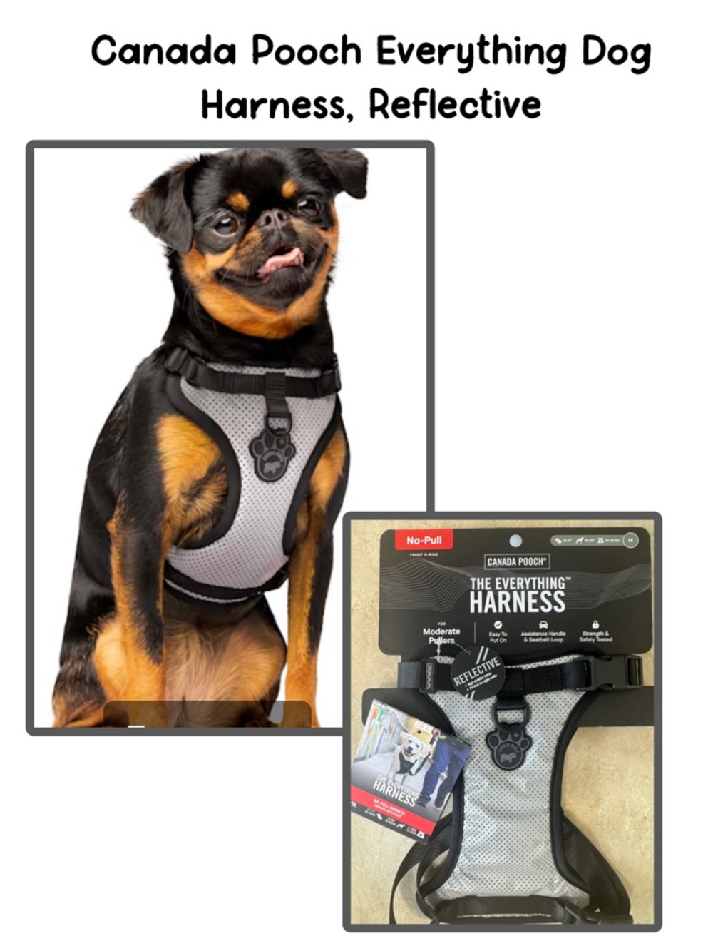 Canada Pooch Everything Dog Harness, Reflective